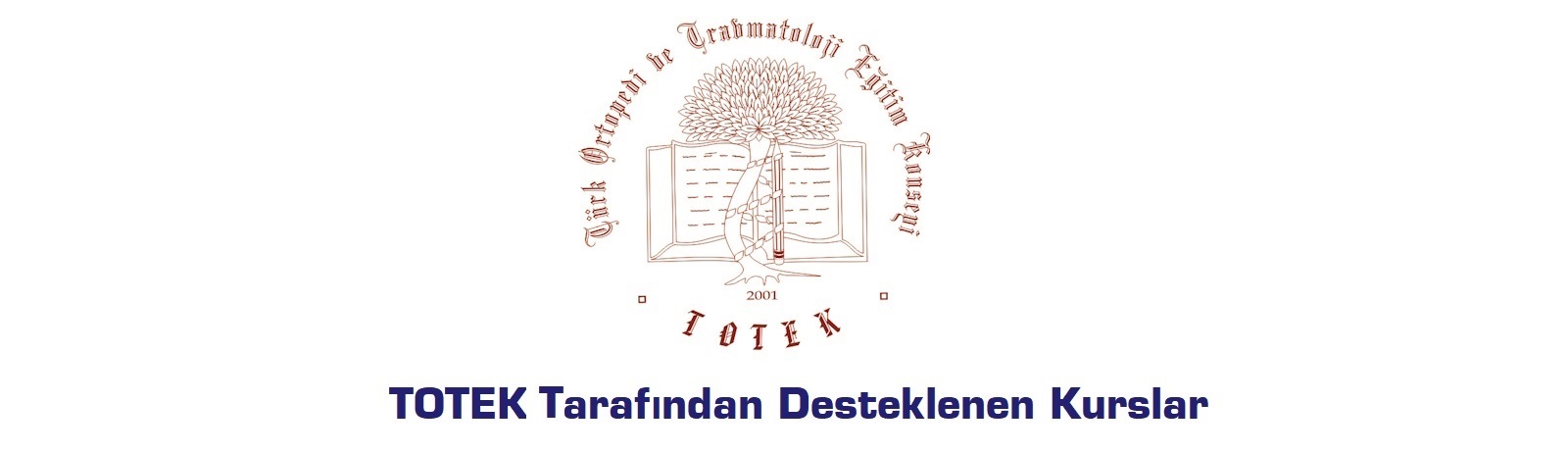 Türk Ortopedi ve Travmatoloji Eğitim Konseyi,TOTBİD,Türk Ortopedi ve Travmatoloji Birliği Derneği